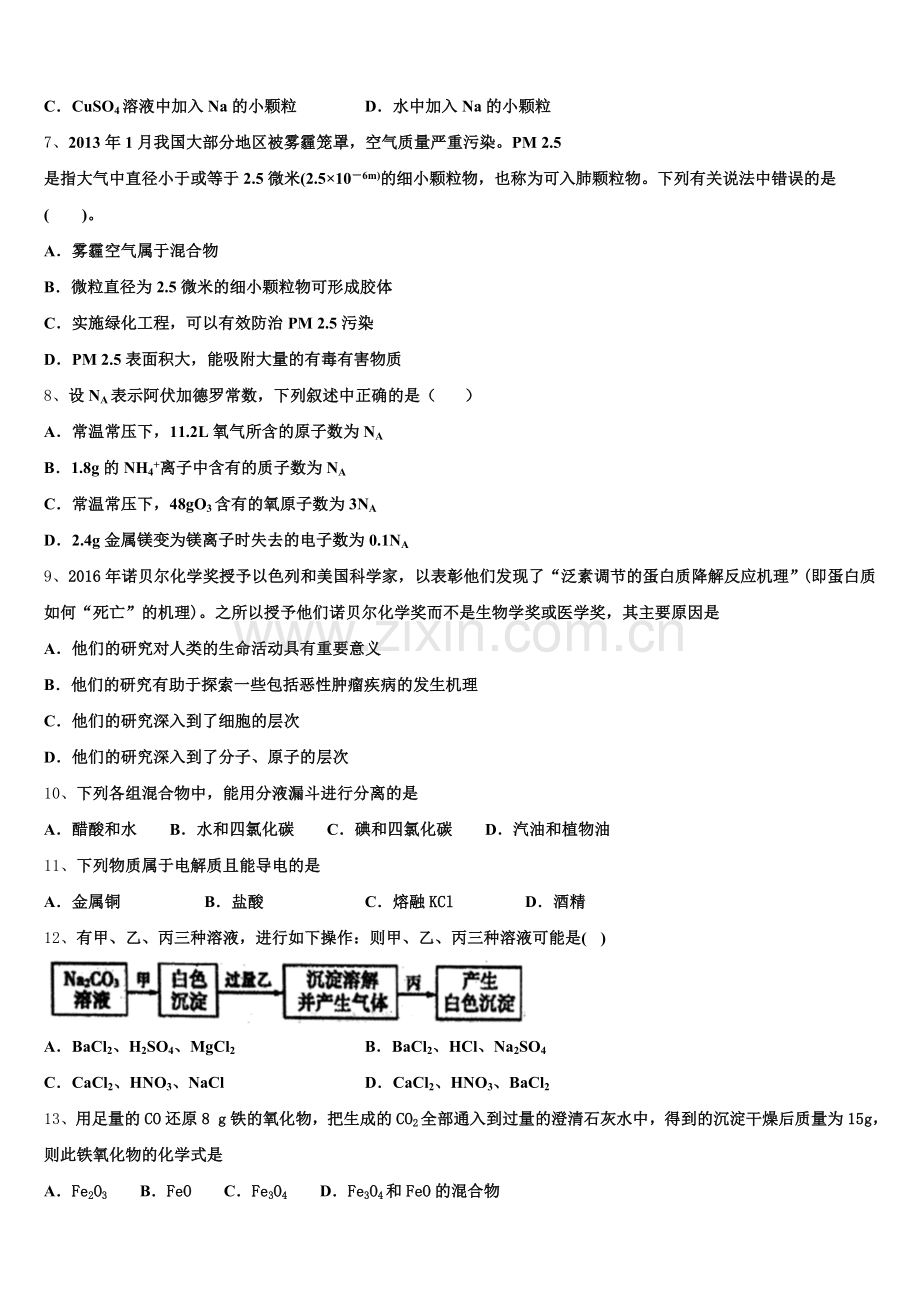 2025-2026学年四川省阆中市阆中中学新区化学高一上期中统考试题含解析.doc_第2页