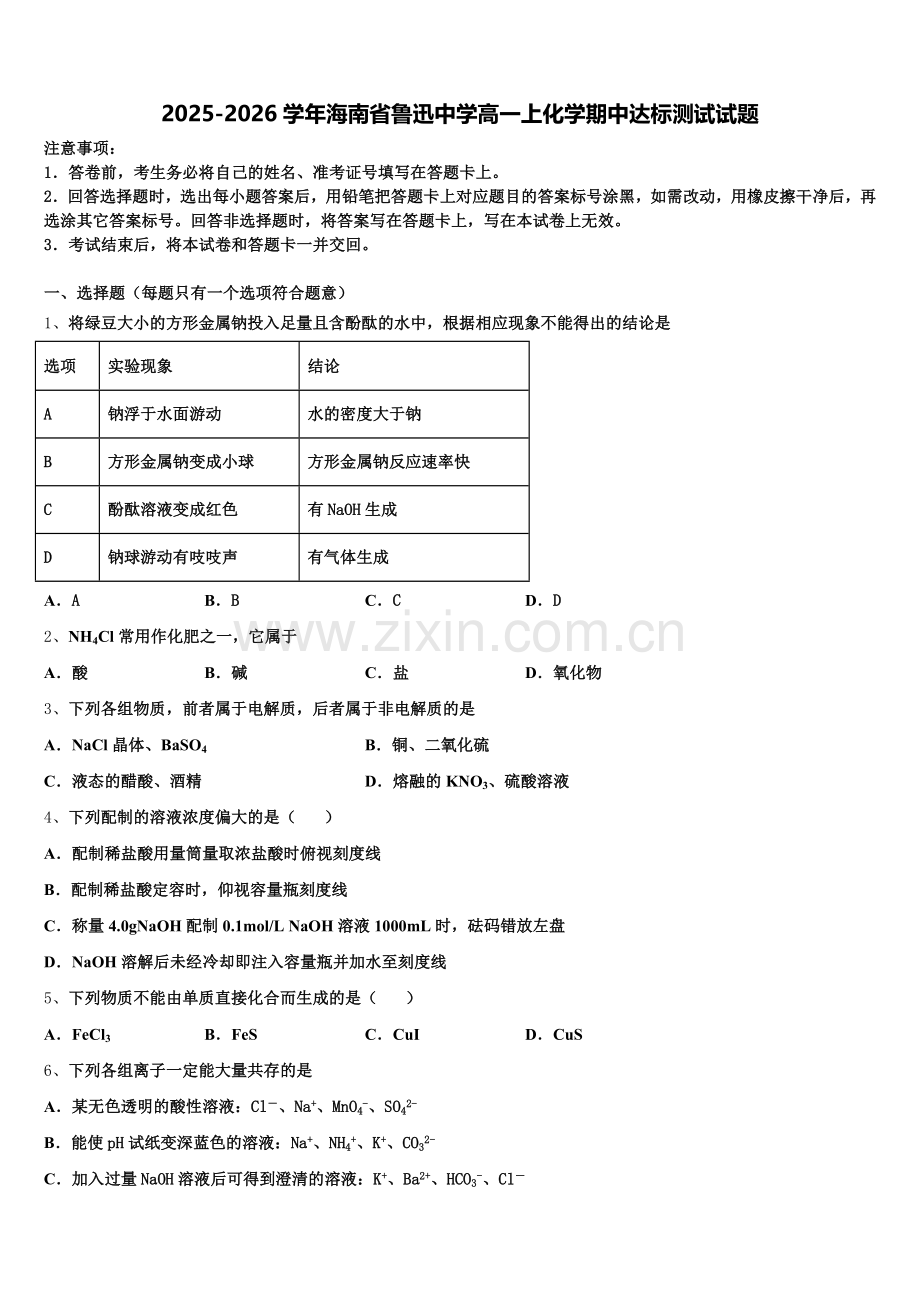 2025-2026学年海南省鲁迅中学高一上化学期中达标测试试题含解析.doc_第1页
