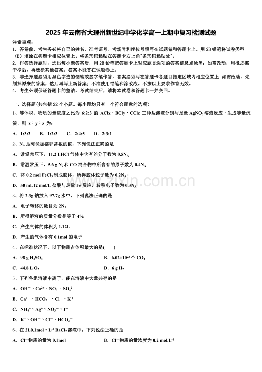 2025年云南省大理州新世纪中学化学高一上期中复习检测试题含解析.doc_第1页