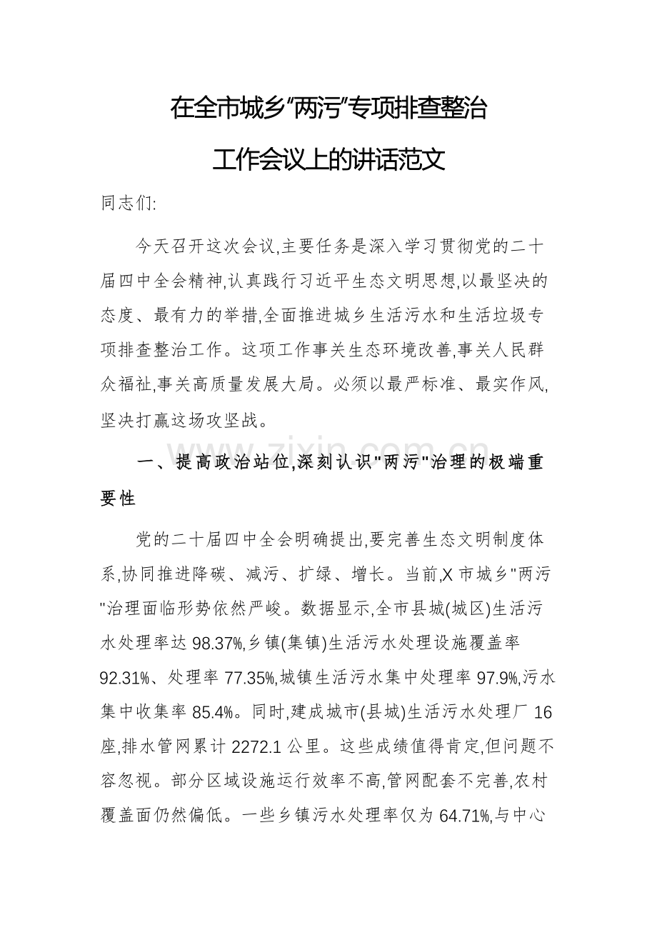 党员干部在2025年城乡“两污”专项排查整治工作会议上的讲话范文.docx_第1页