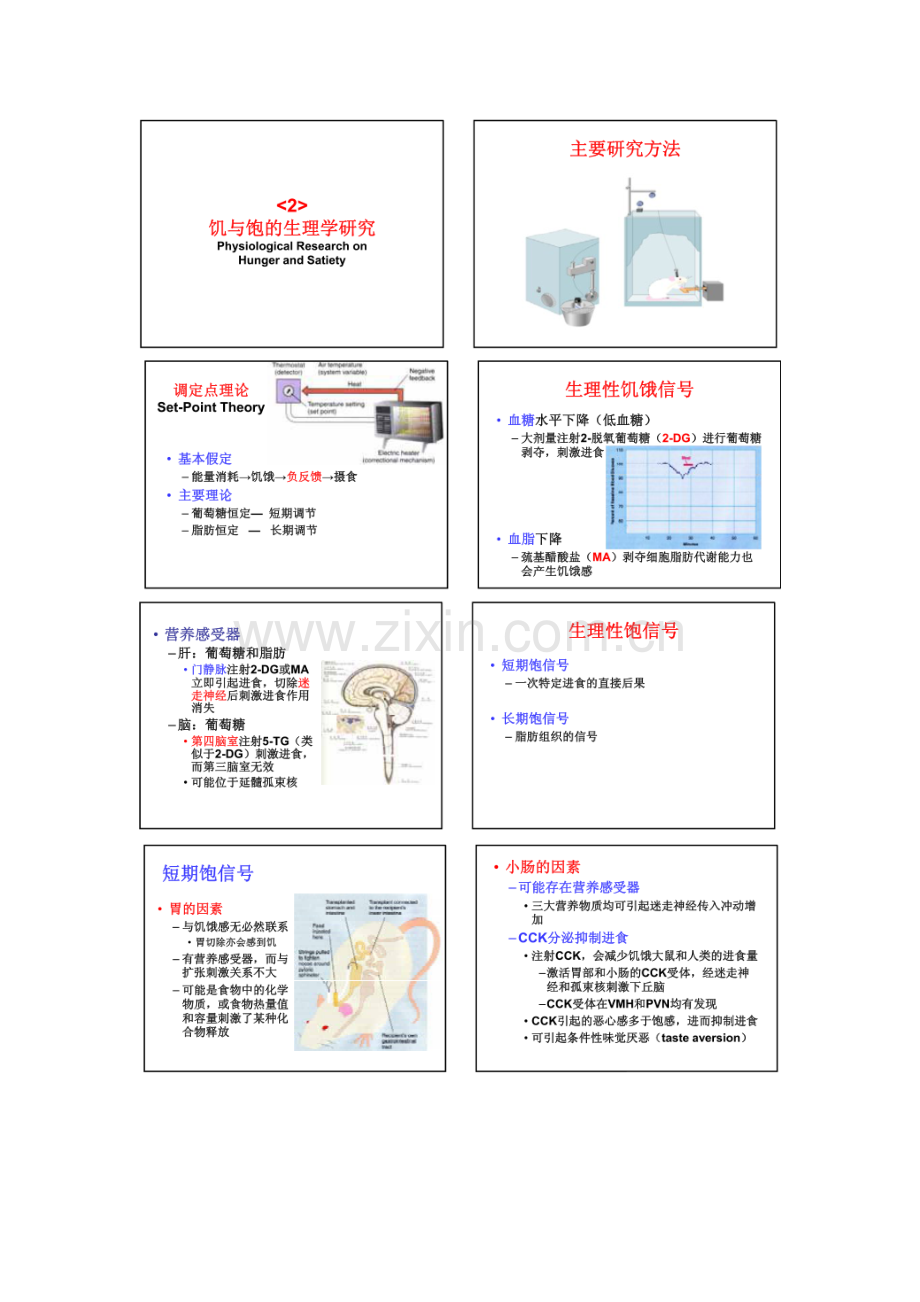 生理、心理学进食行为.doc_第2页