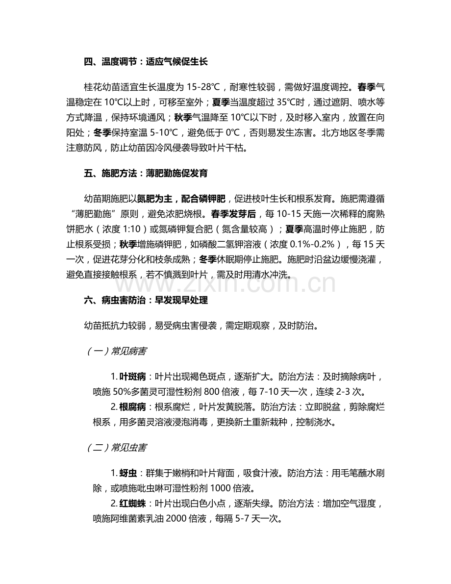 桂花小幼苗的护理措施.doc_第2页