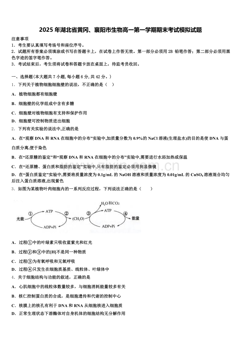 2025年湖北省黄冈、襄阳市生物高一第一学期期末考试模拟试题含解析.doc_第1页