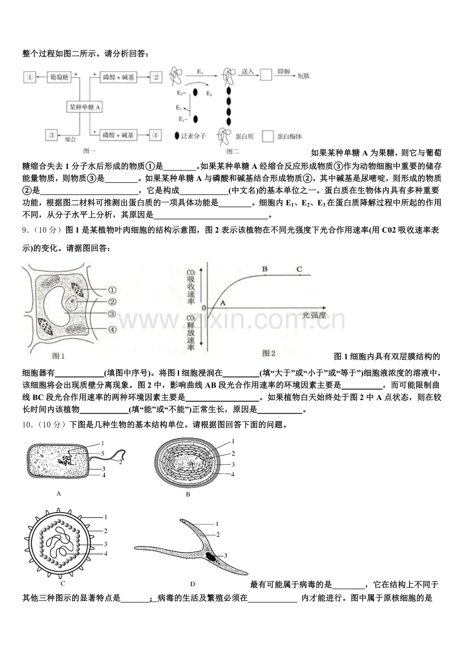 2025年吉林省吉化第一高级中学校高一上生物期末质量跟踪监视模拟试题含解析.doc_第2页