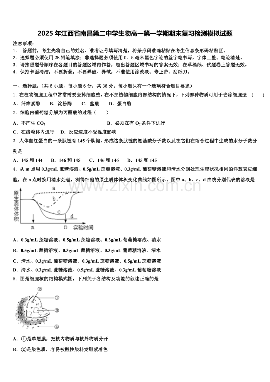 2025年江西省南昌第二中学生物高一第一学期期末复习检测模拟试题含解析.doc_第1页