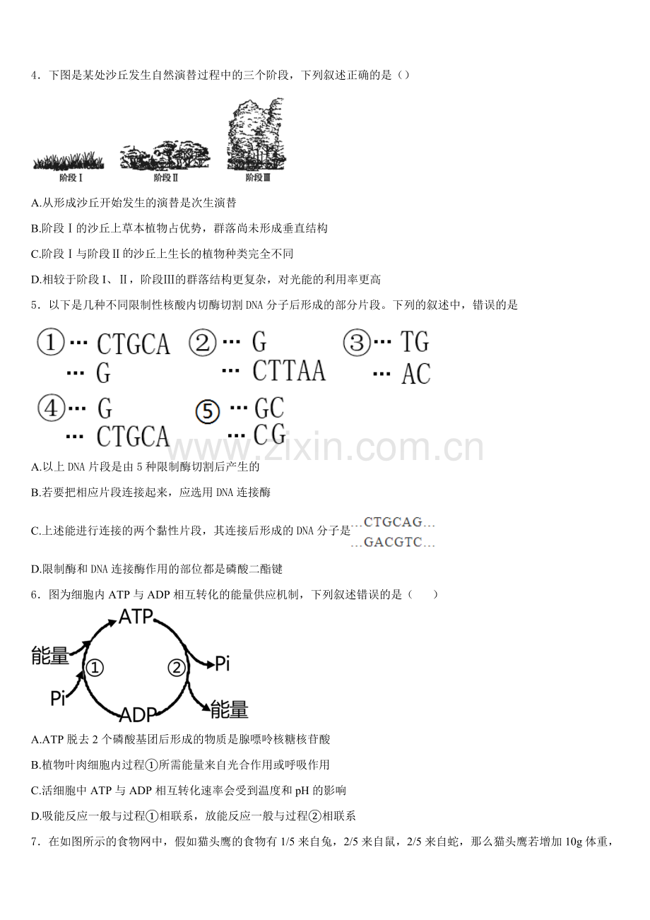 2025年河南省新野县一中生物高二上期末复习检测模拟试题含解析.doc_第2页