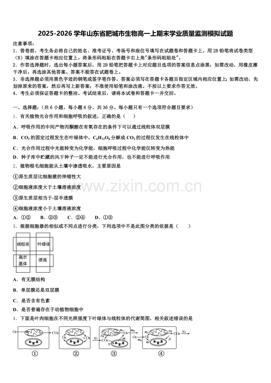 2025-2026学年山东省肥城市生物高一上期末学业质量监测模拟试题含解析.doc_第1页