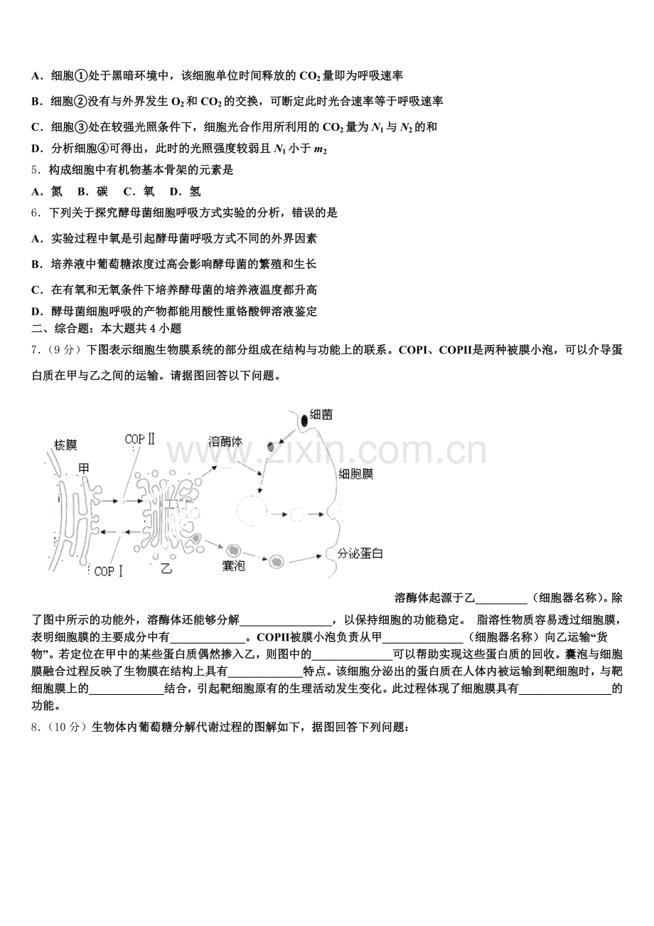 2025-2026学年山东省肥城市生物高一上期末学业质量监测模拟试题含解析.doc_第2页