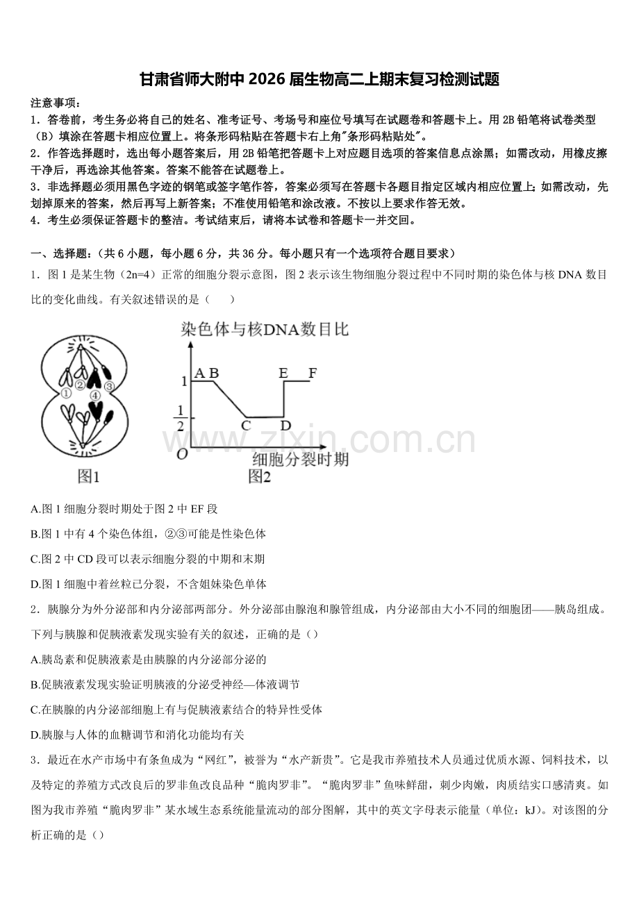 甘肃省师大附中2026届生物高二上期末复习检测试题含解析.doc_第1页