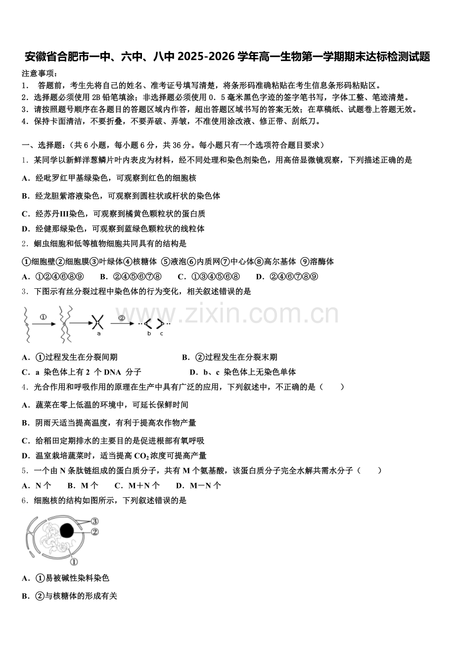 安徽省合肥市一中、六中、八中2025-2026学年高一生物第一学期期末达标检测试题含解析.doc_第1页