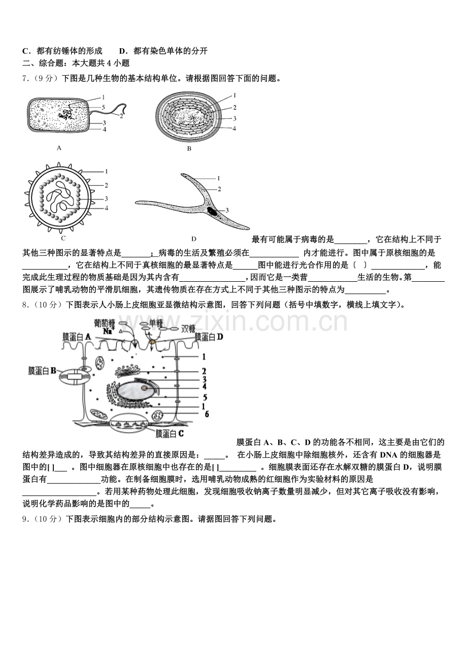 2025-2026学年江苏省苏州外国语学校生物高一上期末经典试题含解析.doc_第2页