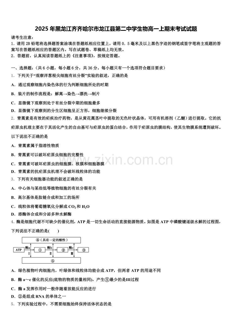 2025年黑龙江齐齐哈尔市龙江县第二中学生物高一上期末考试试题含解析.doc_第1页