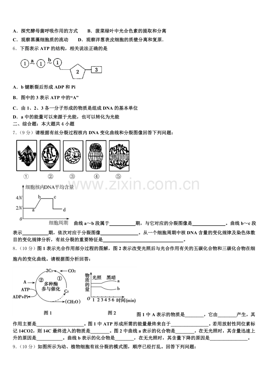 2025年黑龙江齐齐哈尔市龙江县第二中学生物高一上期末考试试题含解析.doc_第2页