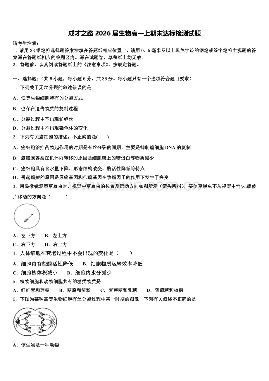 成才之路2026届生物高一上期末达标检测试题含解析.doc_第1页