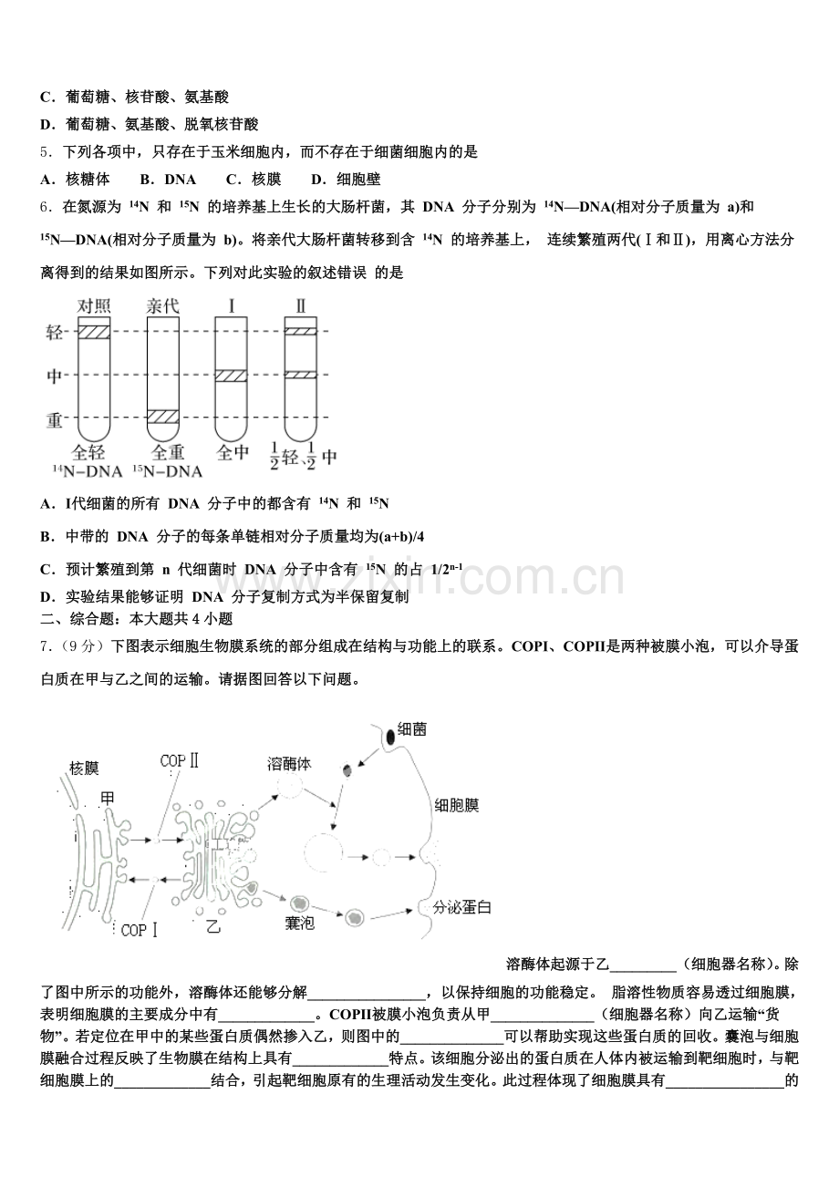 2026届深圳大学师范学院附属中学生物高一上期末经典试题含解析.doc_第2页