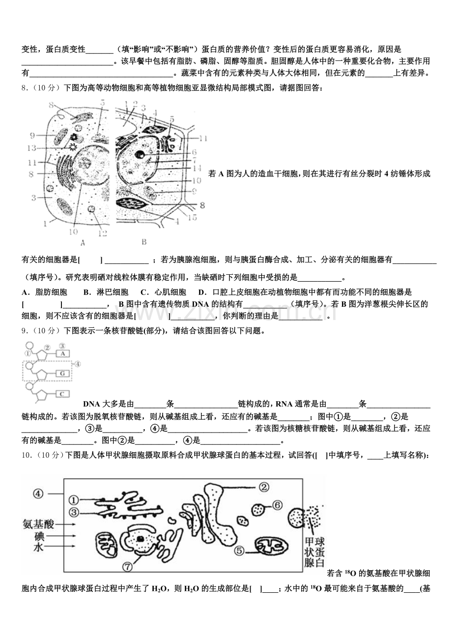 福建省龙岩市长汀县长汀、连城一中等六校2025-2026学年高一上生物期末学业水平测试试题含解析.doc_第2页