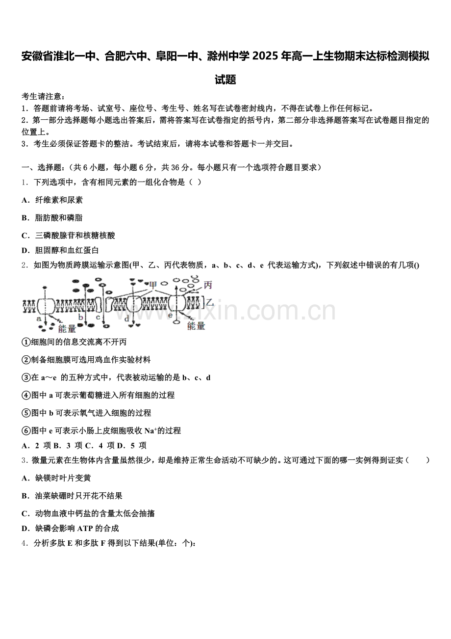 安徽省淮北一中、合肥六中、阜阳一中、滁州中学2025年高一上生物期末达标检测模拟试题含解析.doc_第1页
