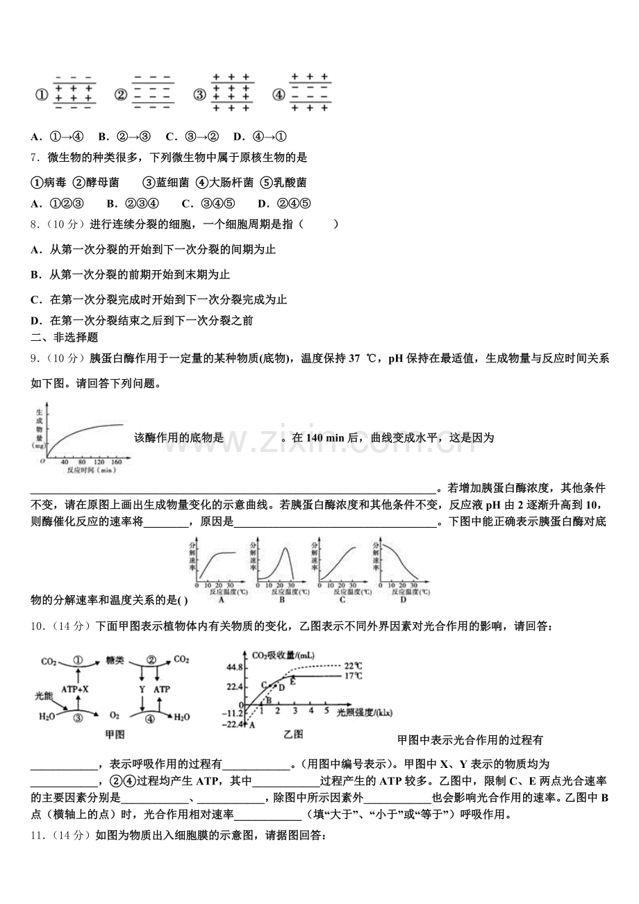 2025-2026学年宁夏回族自治区银川一中高一上生物期末考试模拟试题含解析.doc_第2页