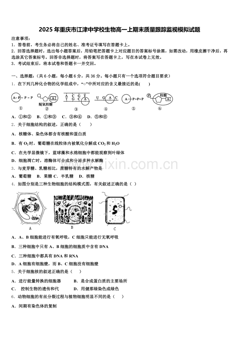 2025年重庆市江津中学校生物高一上期末质量跟踪监视模拟试题含解析.doc_第1页