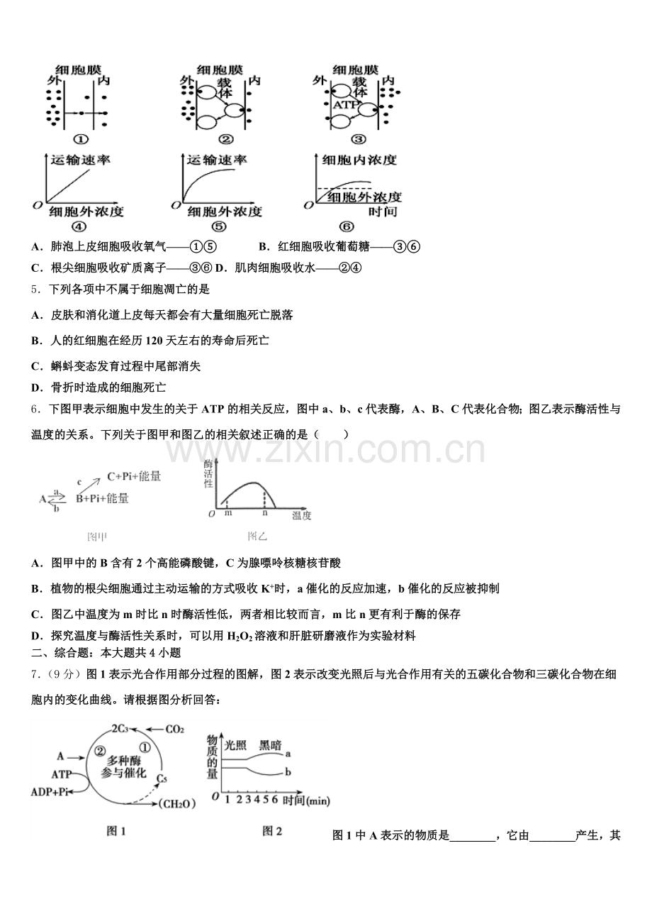 江西省于都县三中2026届生物高一上期末综合测试试题含解析.doc_第2页