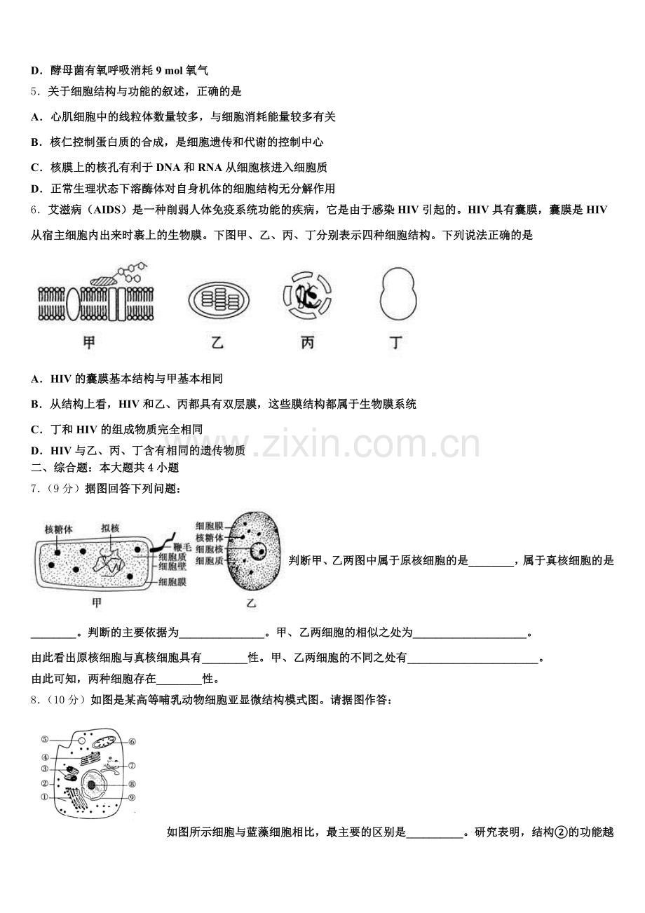 北京市海淀区北师大附中2025年生物高一第一学期期末统考模拟试题含解析.doc_第2页
