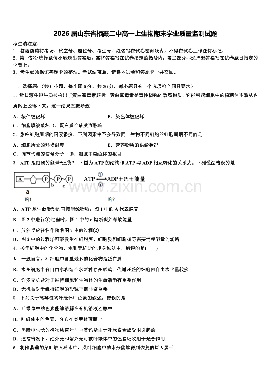2026届山东省栖霞二中高一上生物期末学业质量监测试题含解析.doc_第1页
