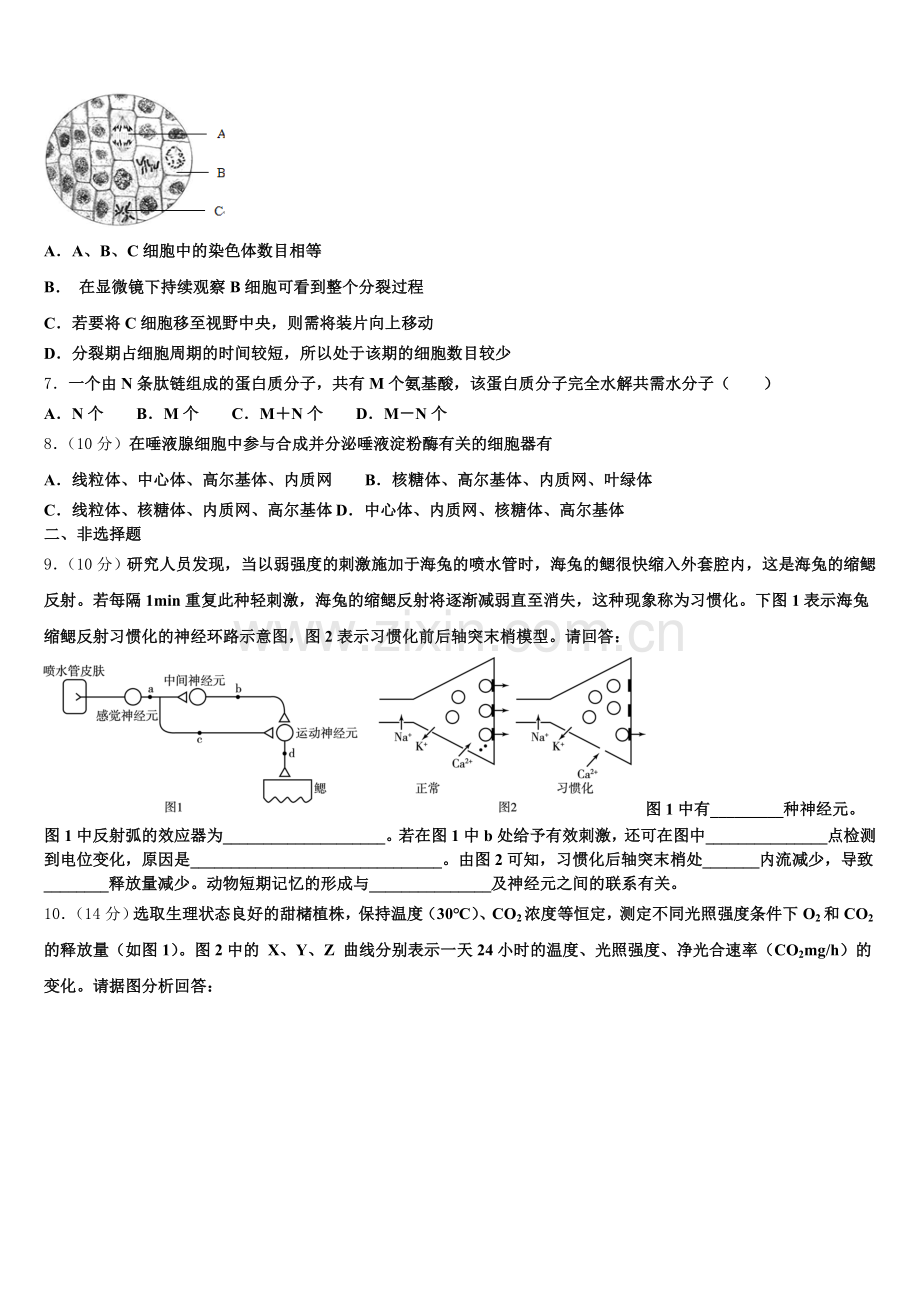 2025年河北省唐山一中生物高一上期末检测模拟试题含解析.doc_第2页