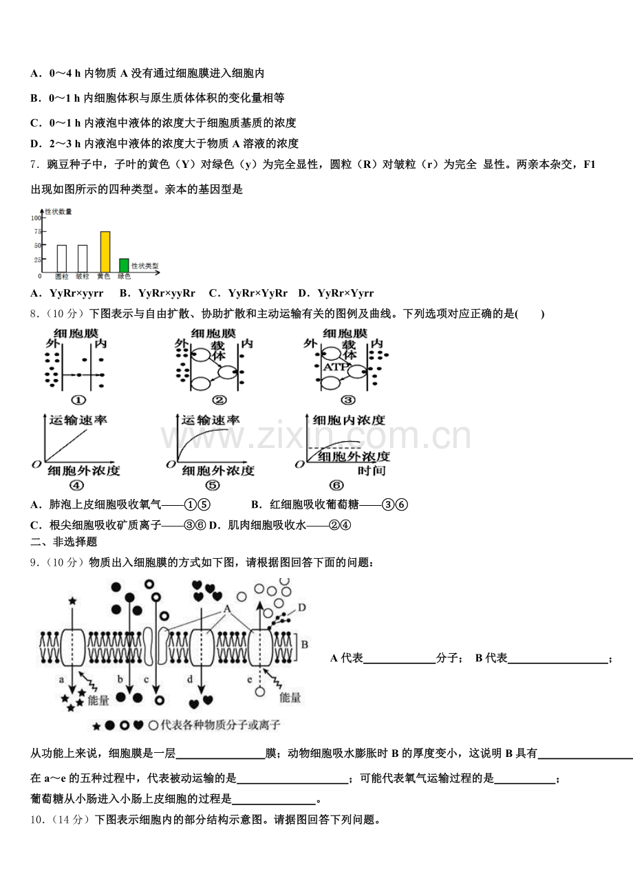 黑龙江省鸡西虎林市东方红林业局中学2025-2026学年高一上生物期末复习检测试题含解析.doc_第2页