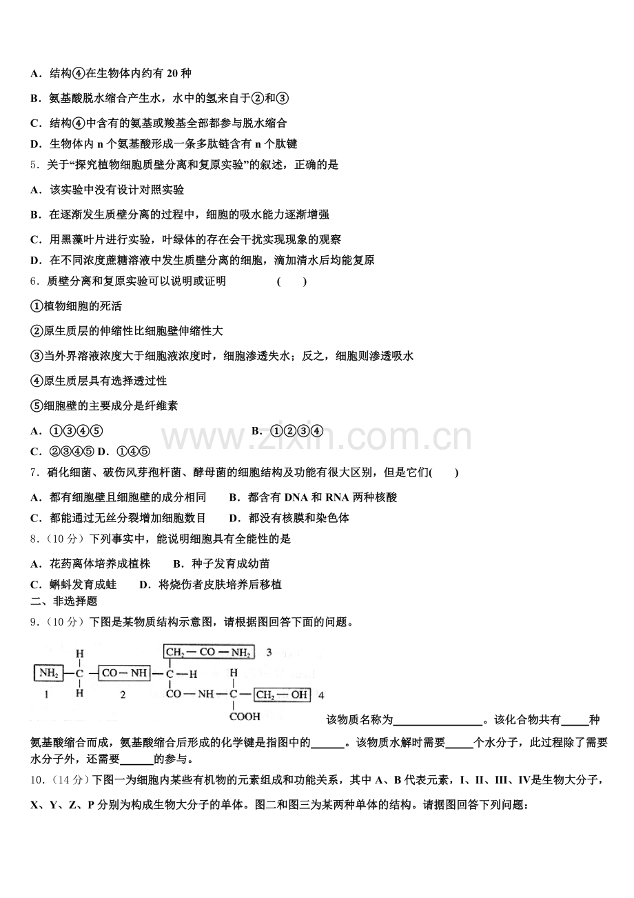 2026届河南省西华县生物高一上期末质量跟踪监视试题含解析.doc_第2页