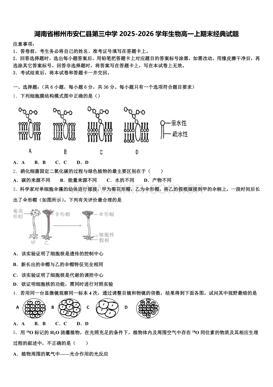 湖南省郴州市安仁县第三中学2025-2026学年生物高一上期末经典试题含解析.doc_第1页