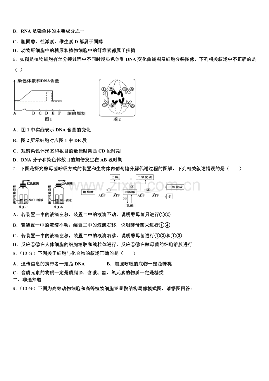 上海市丰华中学2026届生物高一上期末学业质量监测试题含解析.doc_第2页