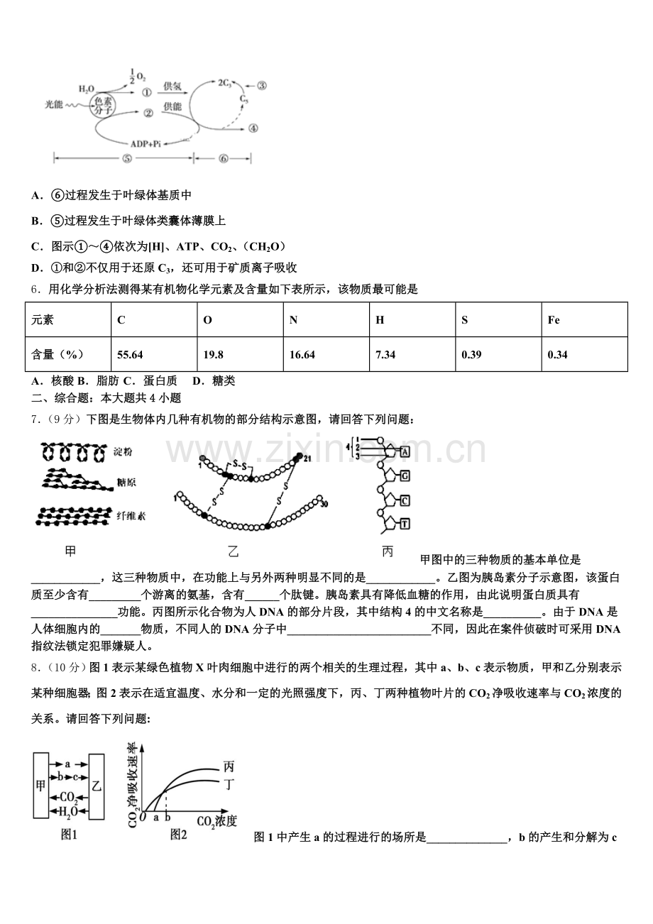 2025年北京市西城区第四中学生物高一上期末统考模拟试题含解析.doc_第2页
