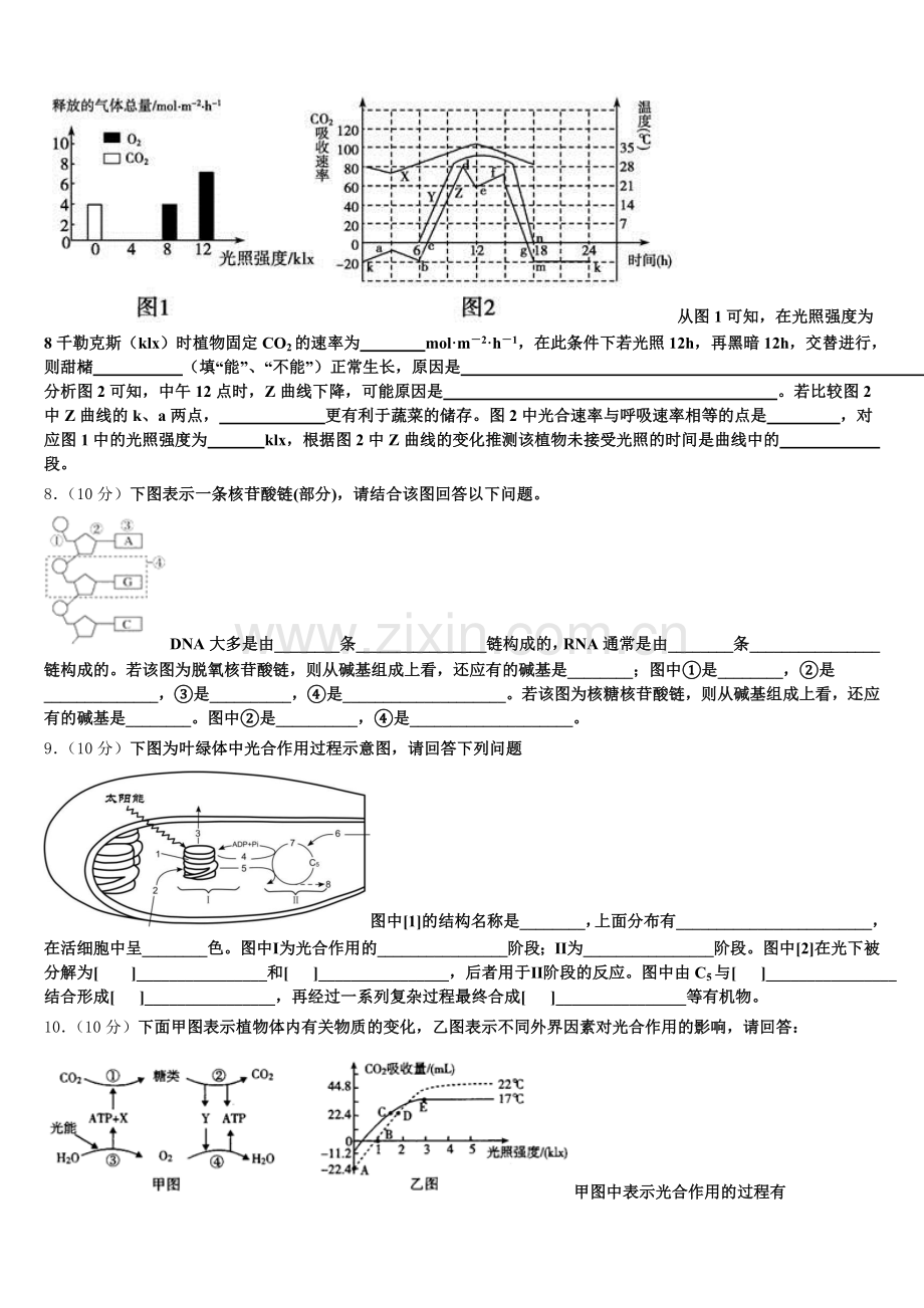 2026届福建省长汀县 新桥中学高一上生物期末监测试题含解析.doc_第2页