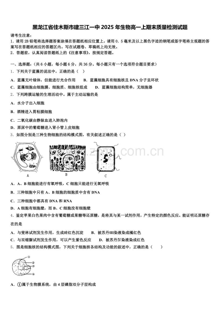 黑龙江省佳木斯市建三江一中2025年生物高一上期末质量检测试题含解析.doc_第1页