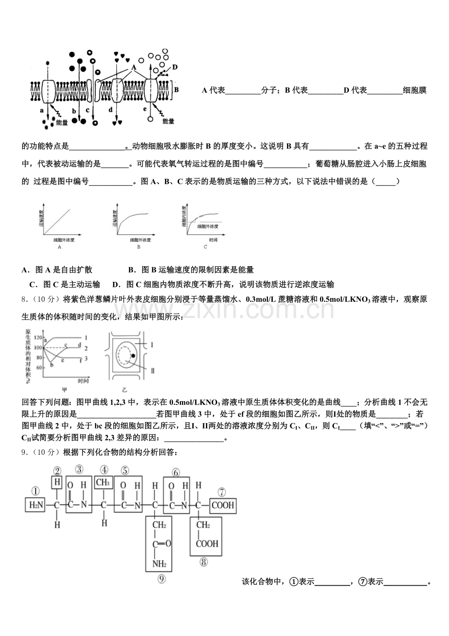 2025年河南省师范大学附属中学高一上生物期末检测模拟试题含解析.doc_第2页