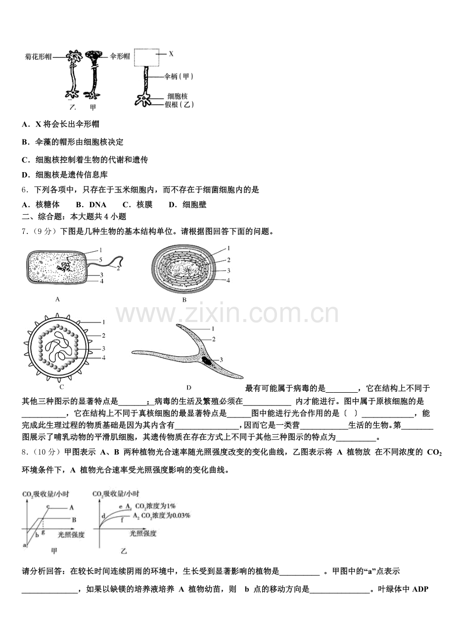 宁夏中卫市第一中学2025-2026学年高一生物第一学期期末检测模拟试题含解析.doc_第2页