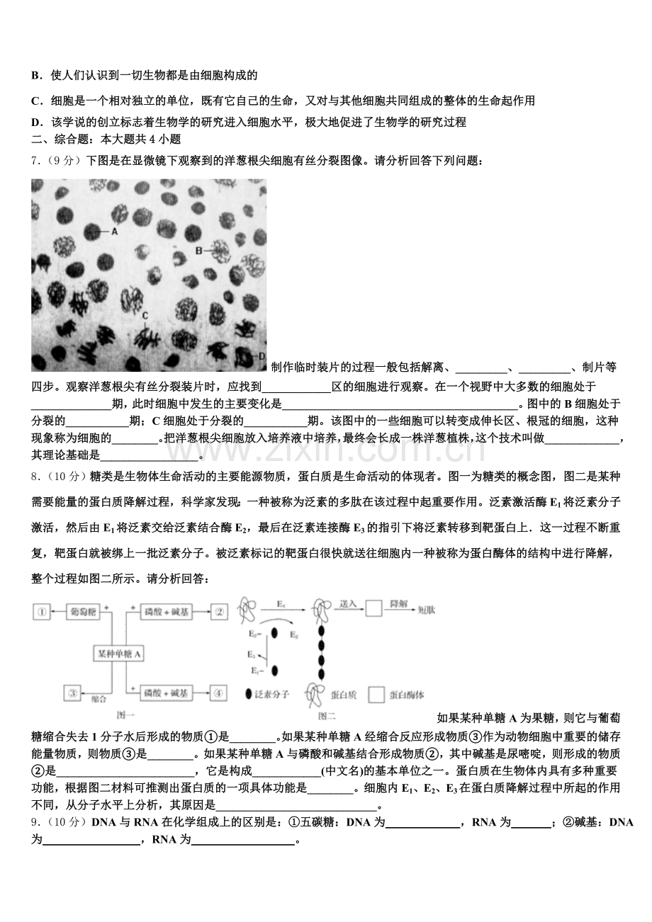 2026届江苏省海安市南莫中学高一生物第一学期期末复习检测模拟试题含解析.doc_第2页