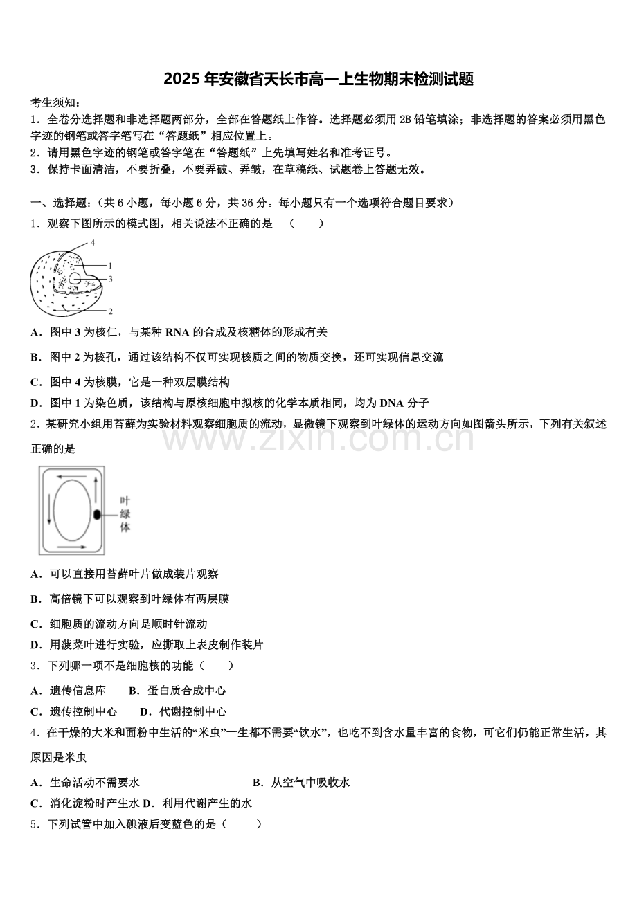 2025年安徽省天长市高一上生物期末检测试题含解析.doc_第1页