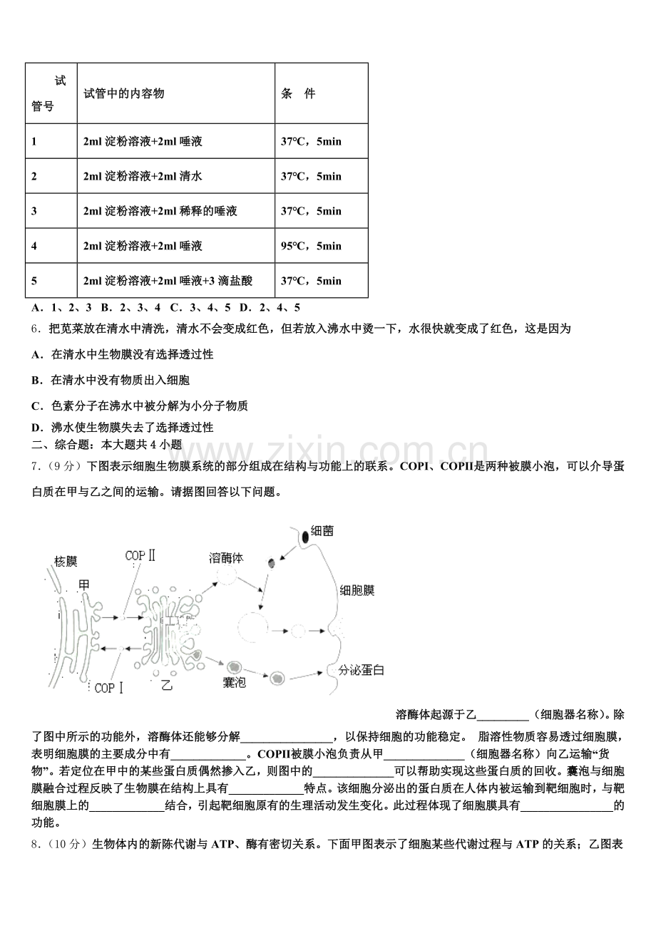 2025年安徽省天长市高一上生物期末检测试题含解析.doc_第2页