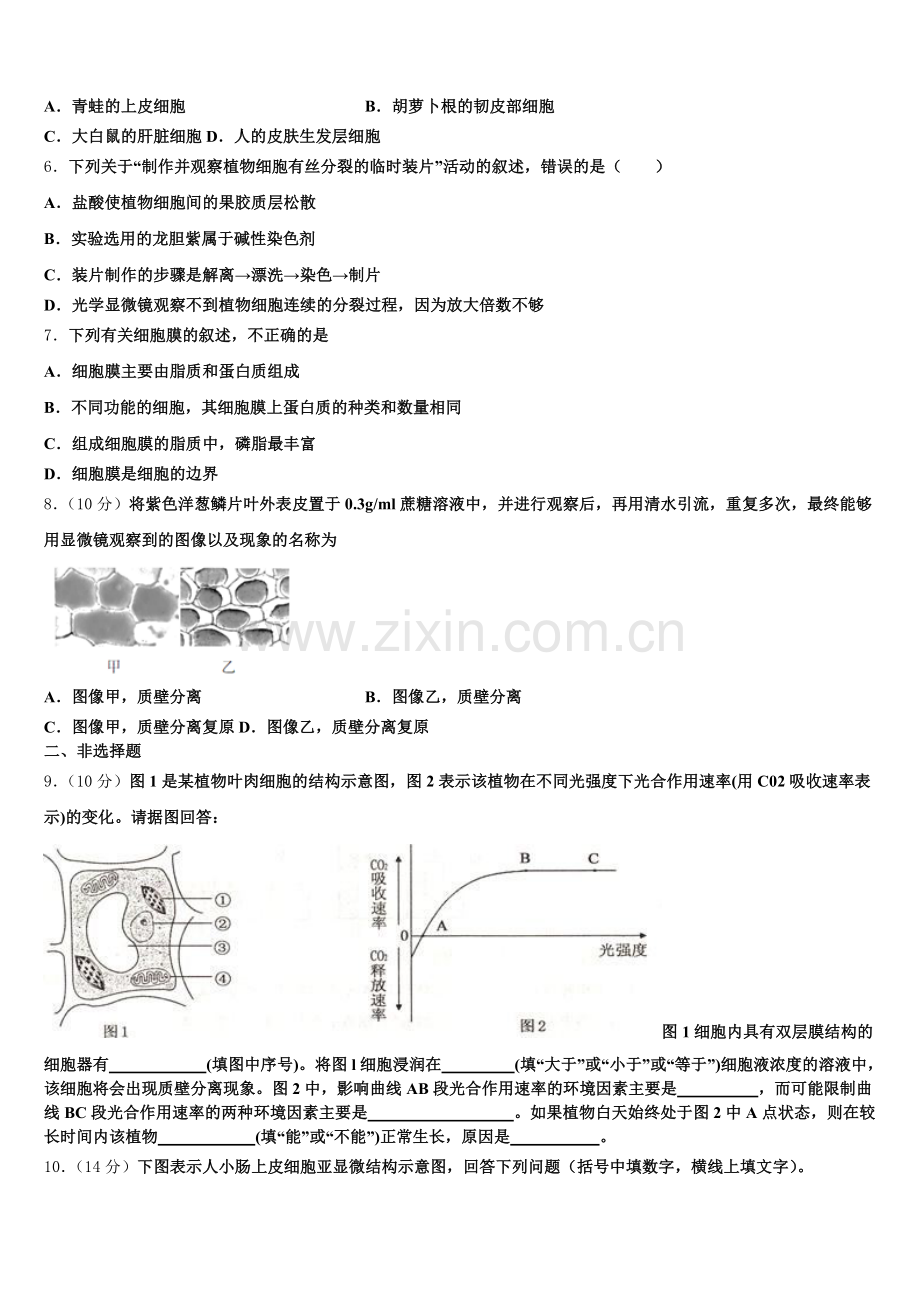 河南省林州市一中2026届高一上生物期末教学质量检测模拟试题含解析.doc_第2页
