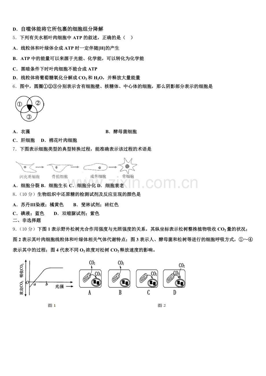 广东省广州市执信中学2025-2026学年生物高一上期末达标测试试题含解析.doc_第2页
