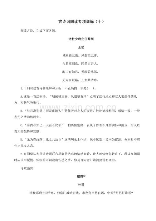 2025年中考语文二轮复习——古诗词阅读专项训练十（含答案）.docx