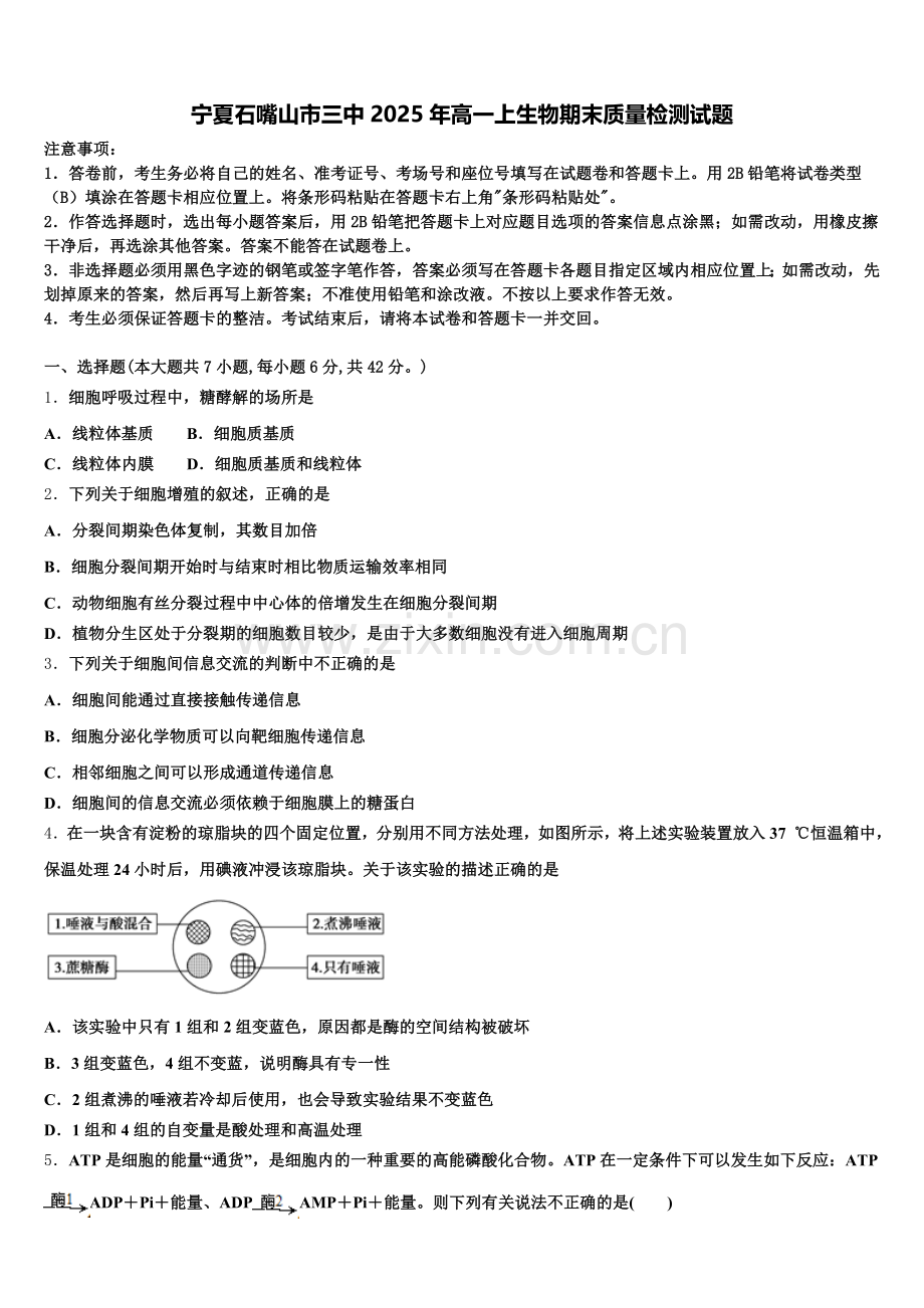宁夏石嘴山市三中2025年高一上生物期末质量检测试题含解析.doc_第1页