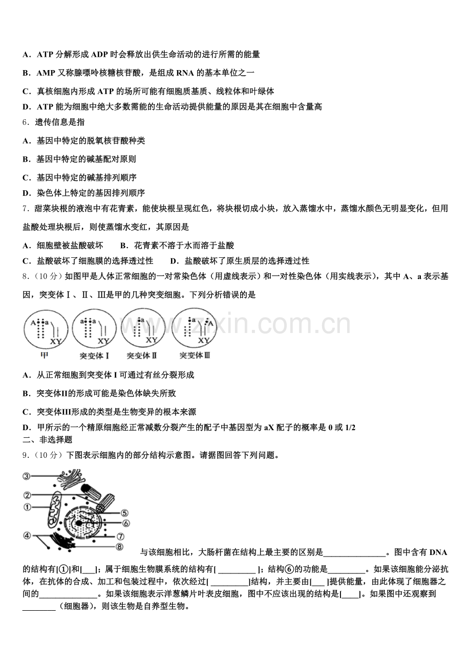 宁夏石嘴山市三中2025年高一上生物期末质量检测试题含解析.doc_第2页