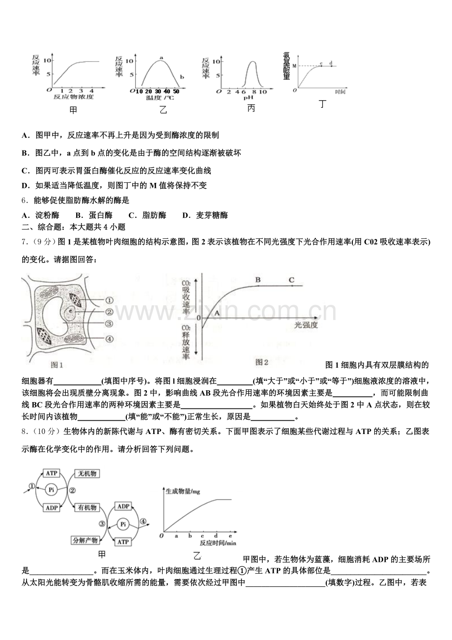 2025年东北师大附属中学高一生物第一学期期末学业质量监测模拟试题含解析.doc_第2页