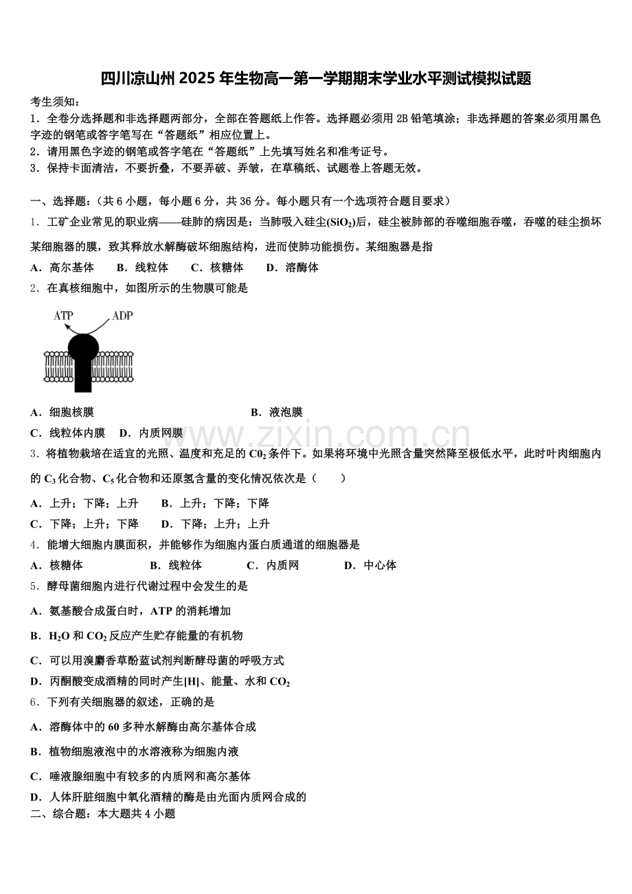 四川凉山州2025年生物高一第一学期期末学业水平测试模拟试题含解析.doc_第1页