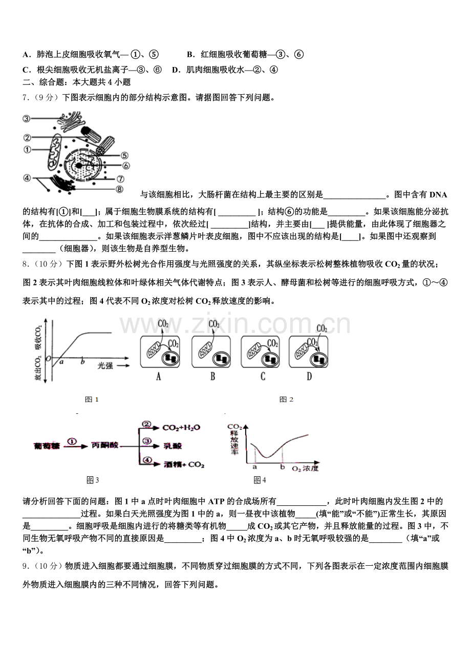 2025年四川省成都市高中生物高一第一学期期末经典试题含解析.doc_第2页