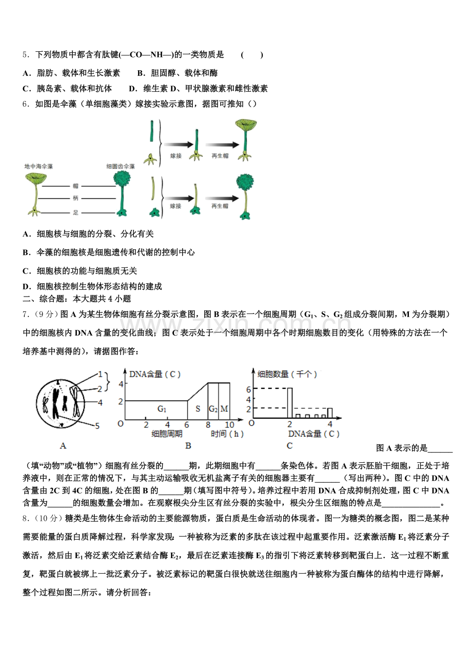 2026届湖南省湘西土家族苗族自治州生物高一第一学期期末经典模拟试题含解析.doc_第2页