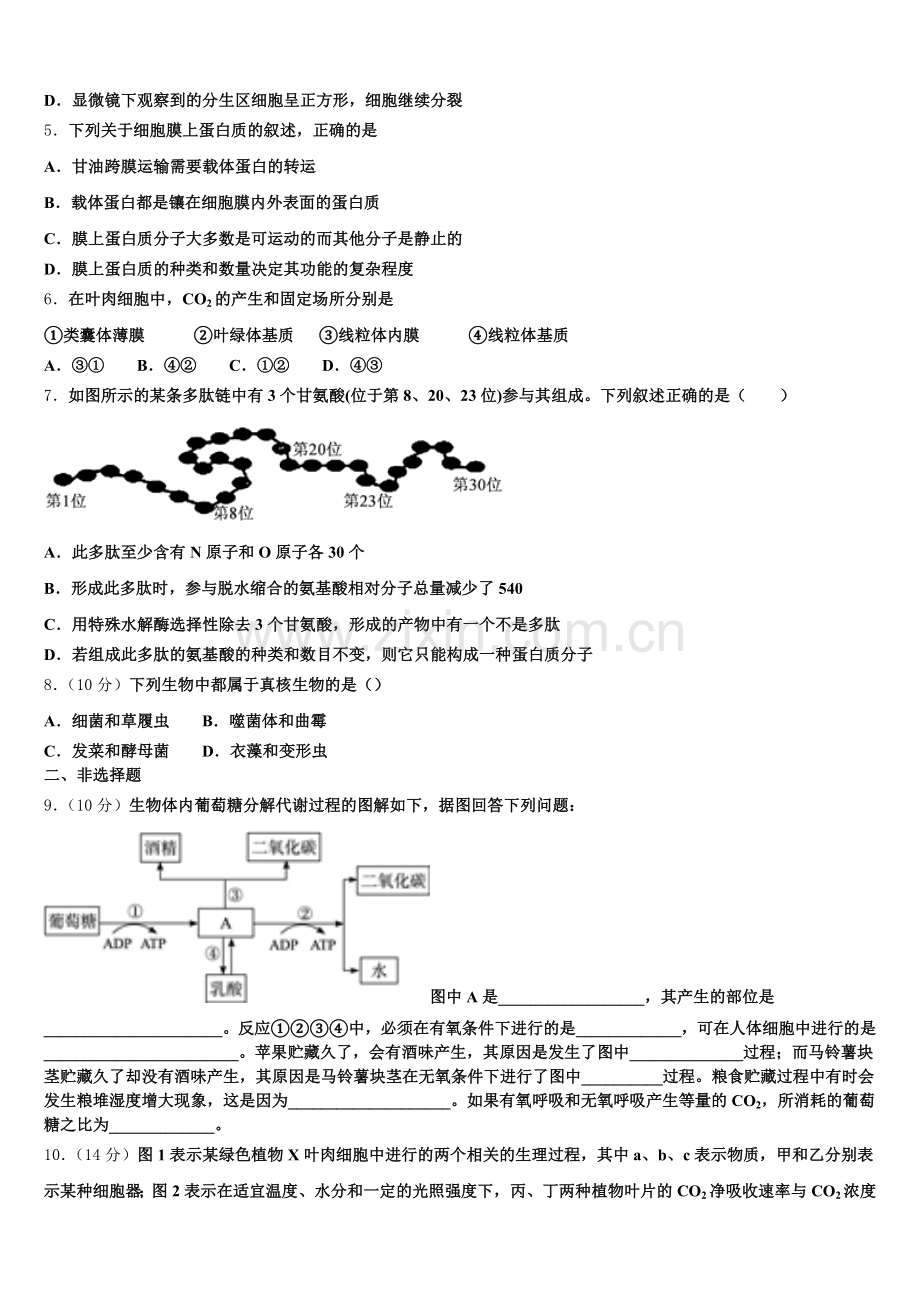 吉林省白城市大安市第二中学2025年高一生物第一学期期末检测试题含解析.doc_第2页