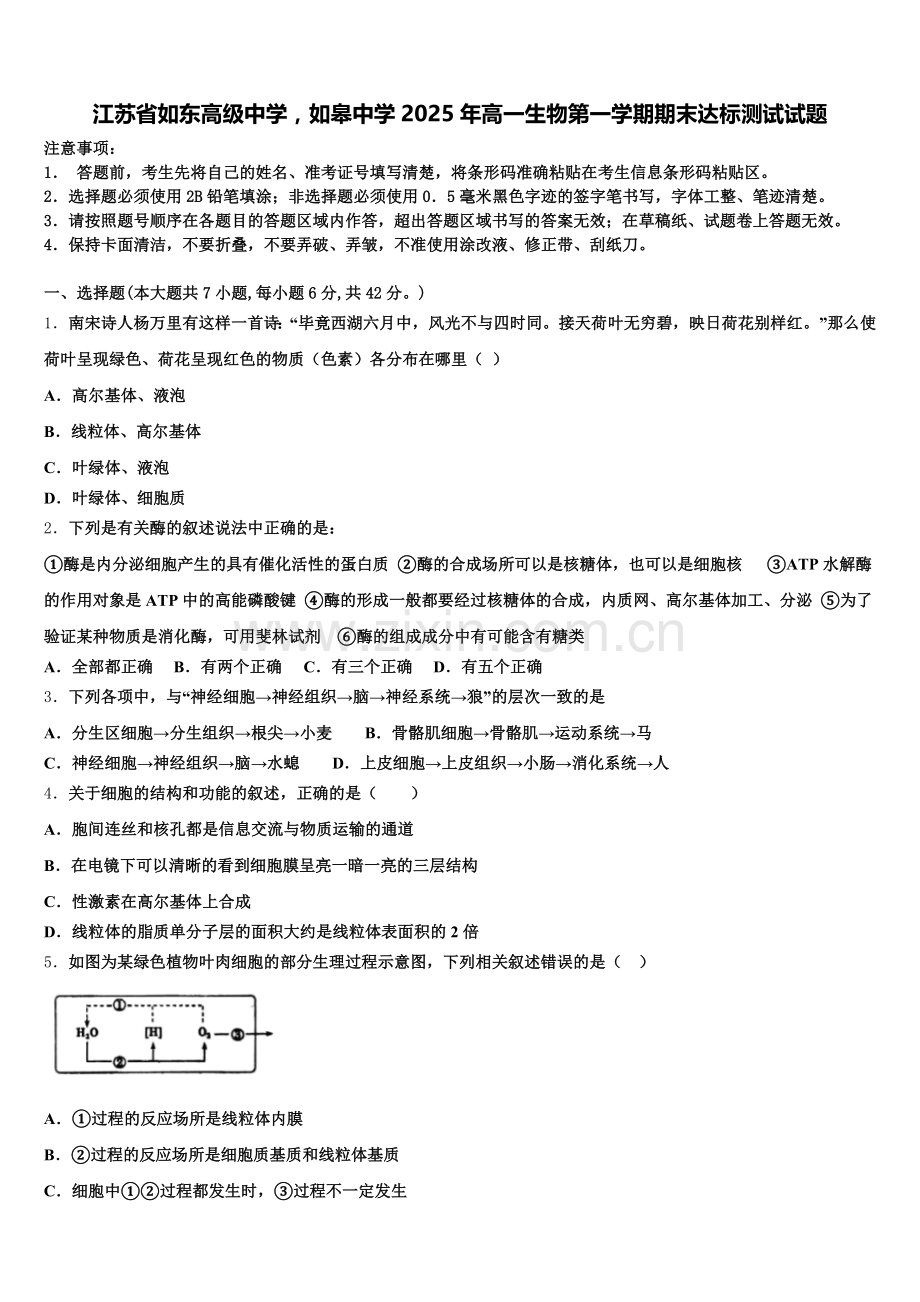江苏省如东高级中学如皋中学2025年高一生物第一学期期末达标测试试题含解析.doc_第1页